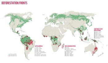 12/01/2021 WWF alerta de que el mundo ha perdido a causa de la deforestación 43 millones de hectáreas en los últimos 13 años, el equivalente a la superficie de California (Estados Unidos).
EUROPA ESPAÑA SOCIEDAD
WWF