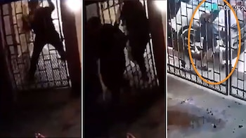 (Foto: Captura de pantalla)