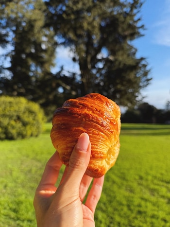 Una mano femenina sostiene un croissant dorado. Detrás, un paisaje con césped verde, árboles frondosos y cielo azul