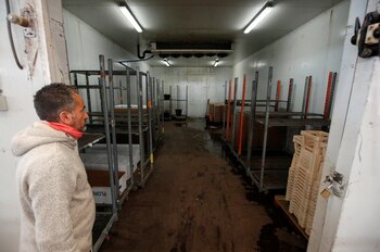 Ignasi Ruiz, mayorista de flores,