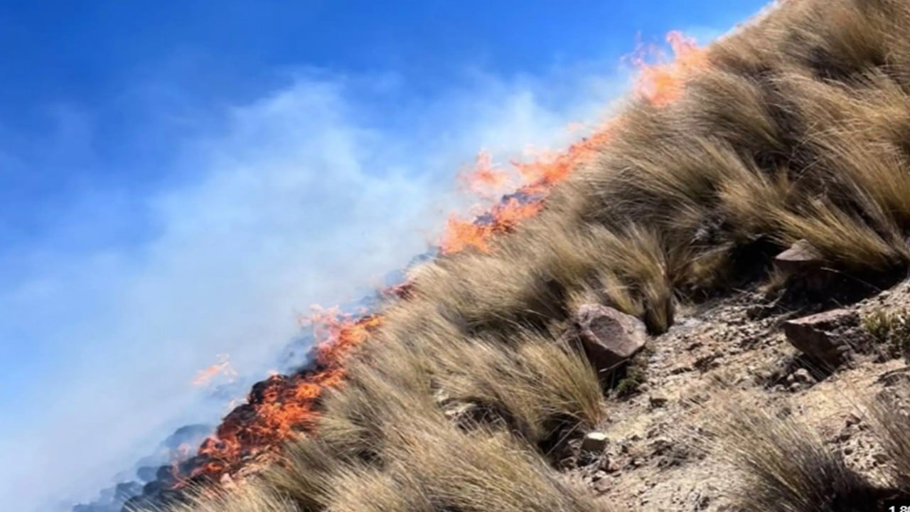 Un incendio forestal consume la vegetación seca en la zona de Patallani, mientras el Ministerio de Comercio Exterior y Turismo monitorea la emergencia en Puno.