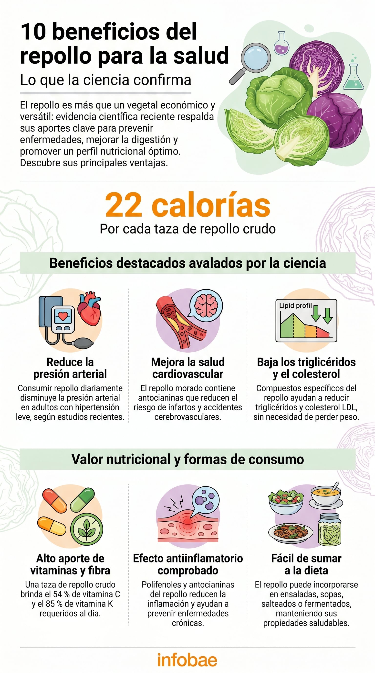 El repollo concentra vitamina C, vitamina K, folato, manganeso, calcio y potasio con un bajo aporte calórico (Imagen Ilustrativa Infobae)
