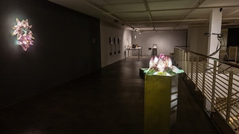 El debut se presenta con obras de Leila Simonian, Yasmín Antún y Renata Molinari