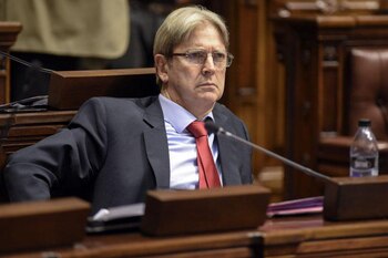 El nuevo proyecto de ley