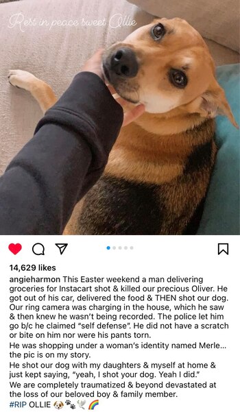 Harmon pidió justicia por la