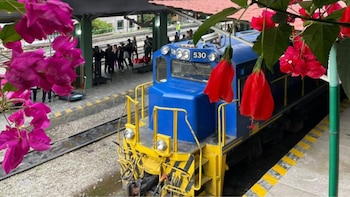 Trenes hacia Machu Picchu fueron