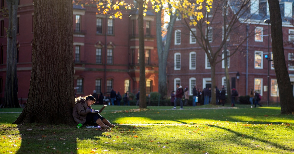 La batalla por el talento: ¿Por qué las Finanzas y la Tecnología atraen a los mejores cerebros de Harvard y la Ivy League?