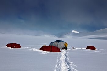 El campamento de los expertos