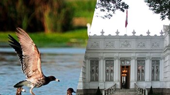 Easter: 5 places to go