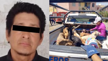 Dan prisión preventiva al “Mataperros
