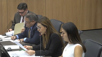 La comisión agropecuaria analiza una reforma para financiar el rescate y la protección de mascotas.