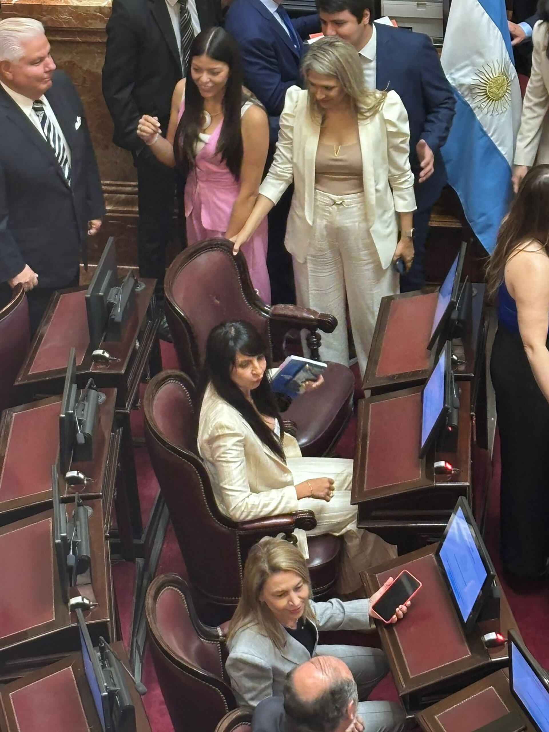 Lorena Villaverde en el Senado