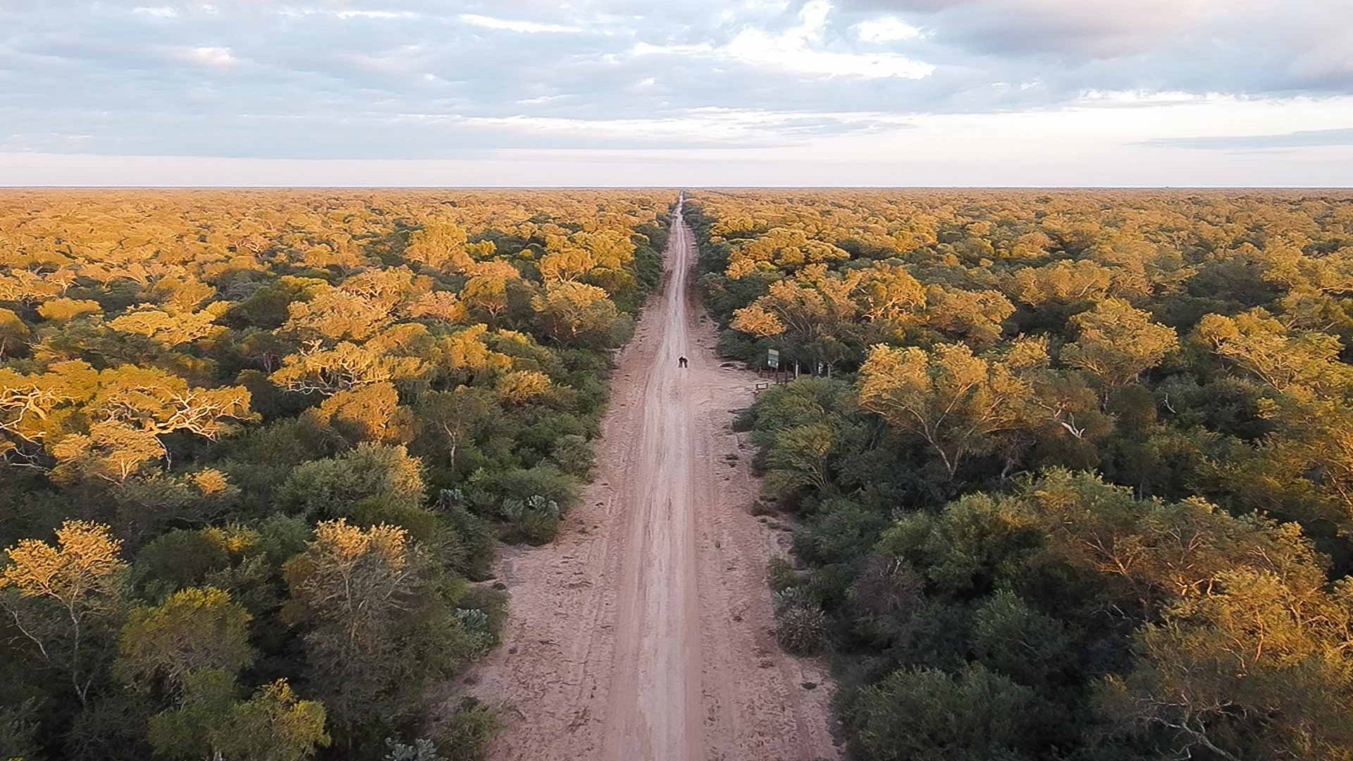 Un camino de tierra atraviesa la vegetación del Parque Provincial Loro Hablador, un área protegida destinada a la conservación de especies.
