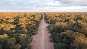 Alerta ambiental en el Chaco: desmontaron 1800 hectáreas de bosques nativos