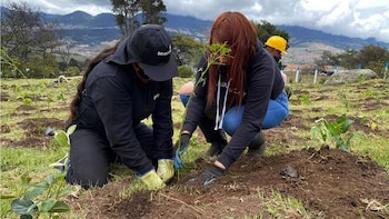 Con programa ambiental, Bogotá buscan ofrecer empleo a más de 1.000 mujeres. Foto: Secretaría de Ambiente.