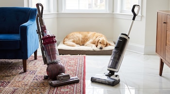 Dos aspiradoras, una vertical y otra lavadora, se encuentran en un salón con un perro durmiendo, un sofá y un mueble de madera