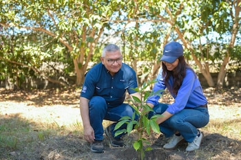 El modelo 'Aprender Haciendo' de