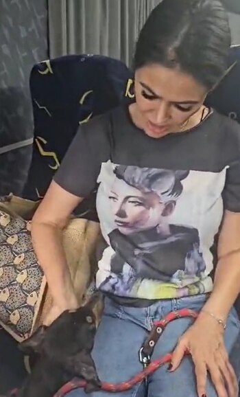 Retorna la brigada de Vigilancia