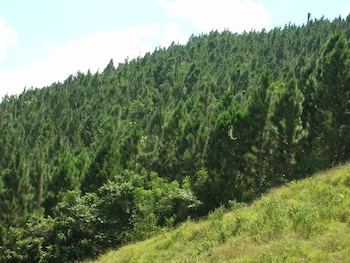 El Cuerpo de Guardaparques Nacionales