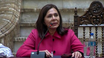 El gobierno de la presidenta