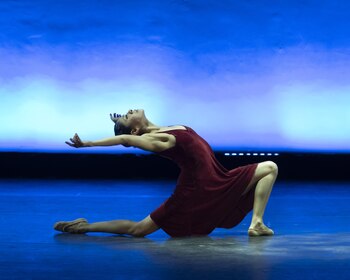 El homenaje reunirá ocho piezas