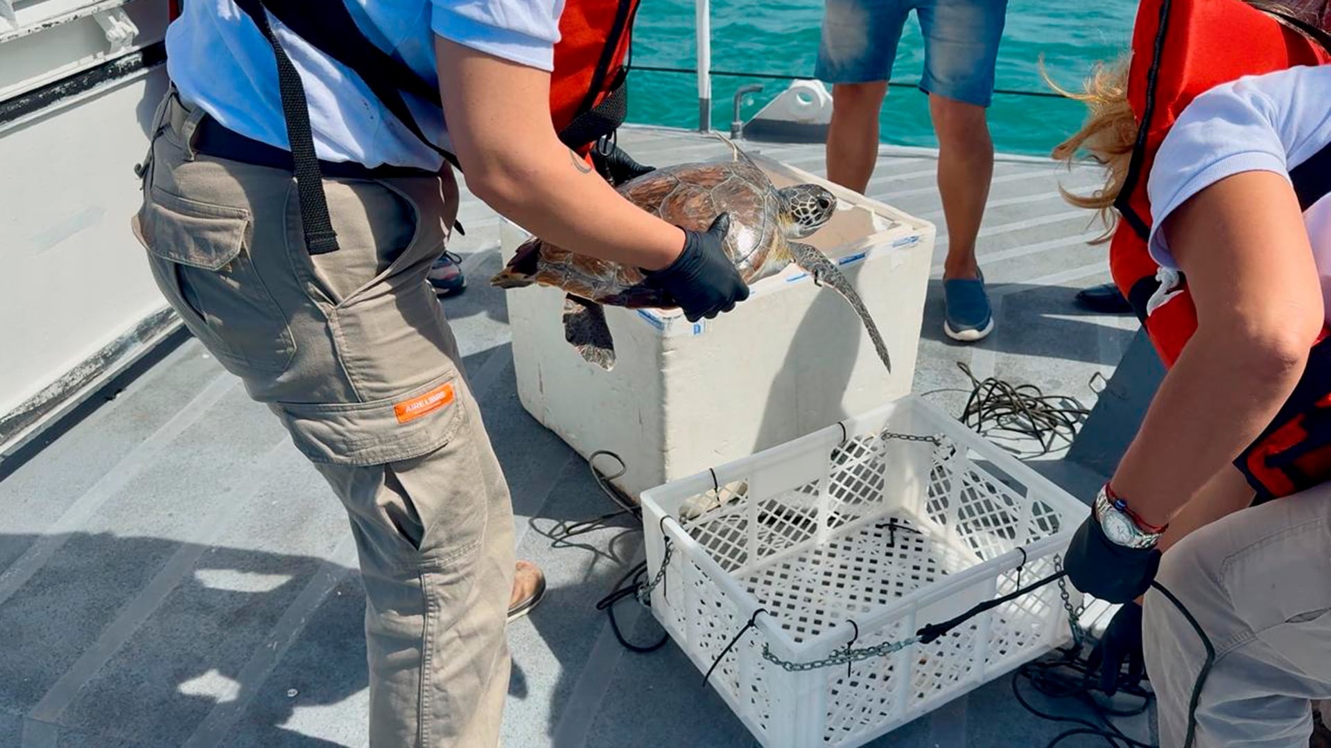 Ramona había sido hallada perdida en el Río de la Plata