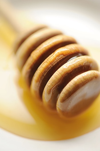 Imagen 74QCYKNLRRAQVF4PPJLED4HUF4