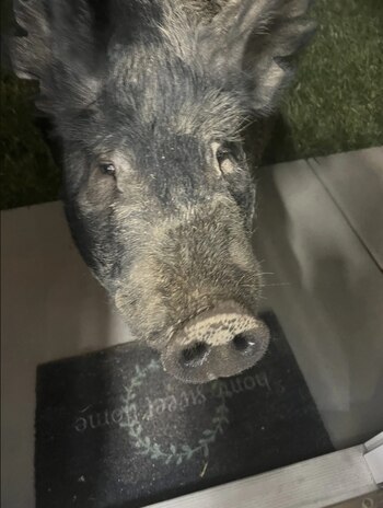 Quienes encontraron a Kevin Bacon