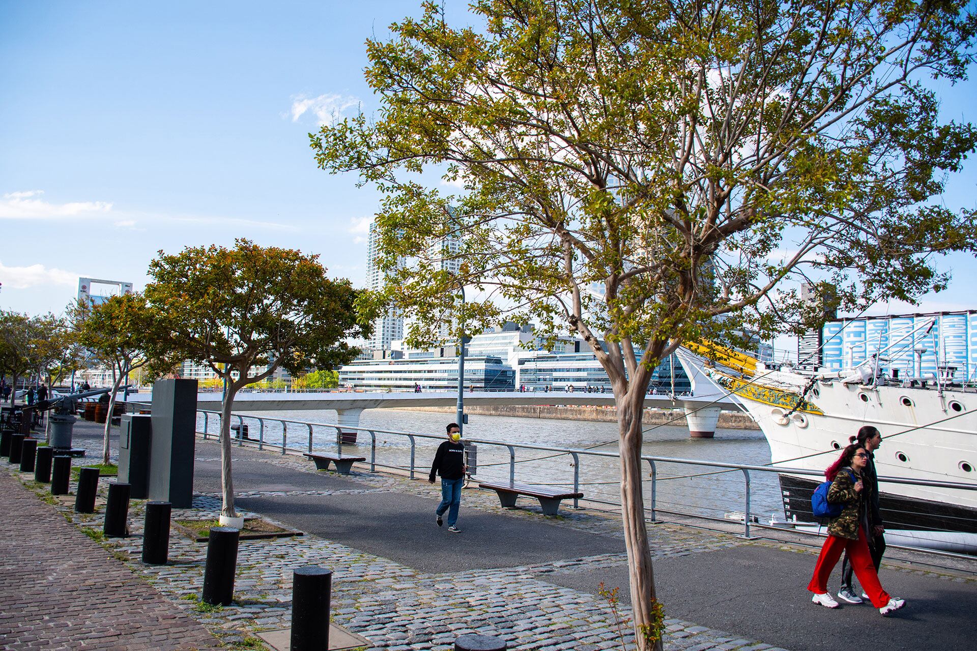 Árboles Ciudad de Buenos Aires (Gobierno de la ciudad de Buenos Aires)