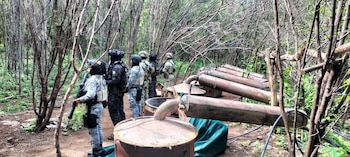 Fuerzas federales localizaron y desmantelaron cuatro laboratorios clandestinos en Michoacán y Guerrero. (X @OHarfuch)