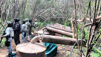 Desmantelan cuatro laboratorios clandestinos en Michoacán y Guerrero: aseguran más de 10 toneladas de químicos, informa Harfuch