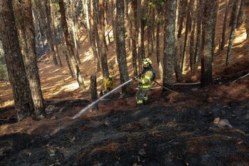 IMAGEN DE REFERENCIA Incendios en