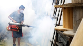 La OPS reporta un aumento de casos de dengue en Costa Rica, Honduras y El Salvador