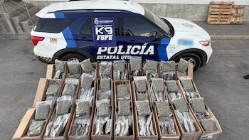 Decomisan más de 160 kilos