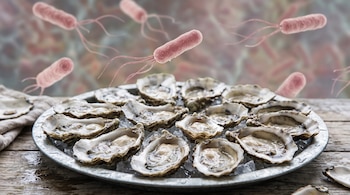 Ostras abiertas sobre una bandeja metálica con hielo y representaciones tridimensionales de bacterias con flagelos en el fondo.