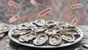 Retiran ostras crudas por un brote de salmonela que afecta a 12 estados de EEUU y deja cinco pacientes hospitalizados