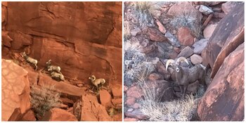 El motivo original del viaje