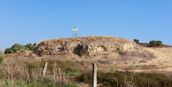 Asta regia, en Jerez (Wikimedia).