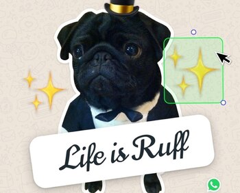 Sticker de WhatsApp. (foto: POLITICA