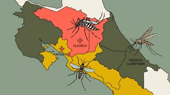 Mapa ilustrado de Costa Rica con tres mosquitos, divisiones regionales en colores y los textos Alajuela, Puntarenas y Crucitas-Llano Verde.