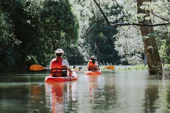 Explorar los Esteros del Iberá