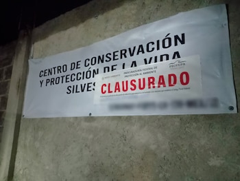 (Profepa)