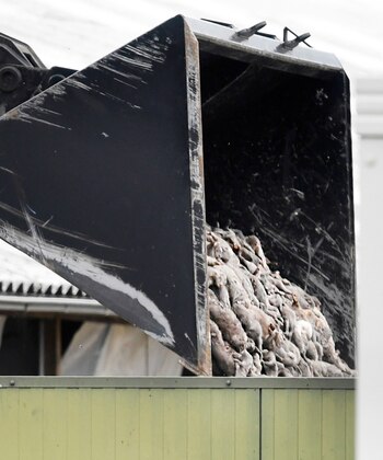 Los cuerpos de miles de