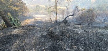 El EdoMex registra actualmente 7