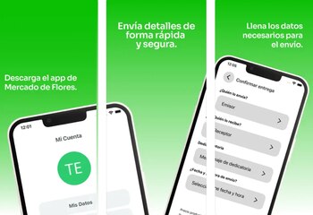 Mercado de Flores se digitaliza.