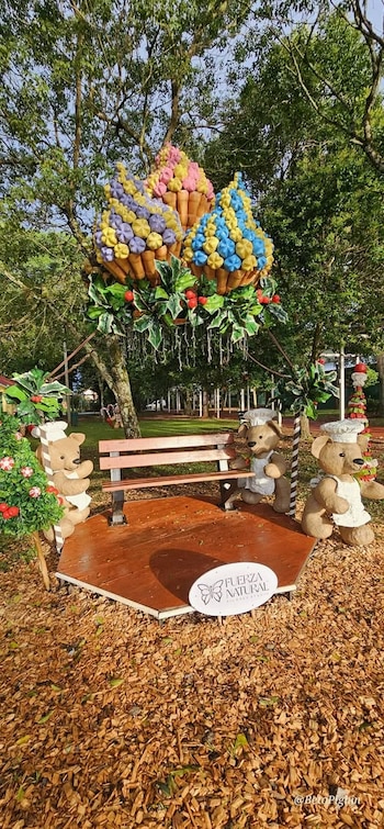 Ositos cocineros y cupcakes sorprenden