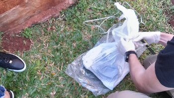 La semana pasada allanaron la