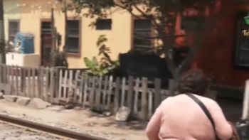 Tren Lima–Chosica: pruebas sin pasajeros