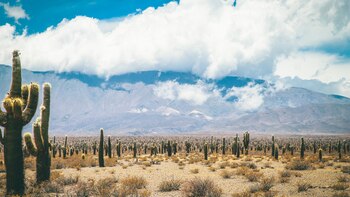 Crédito: Turismo Responsable