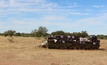 La droga fue asegurada